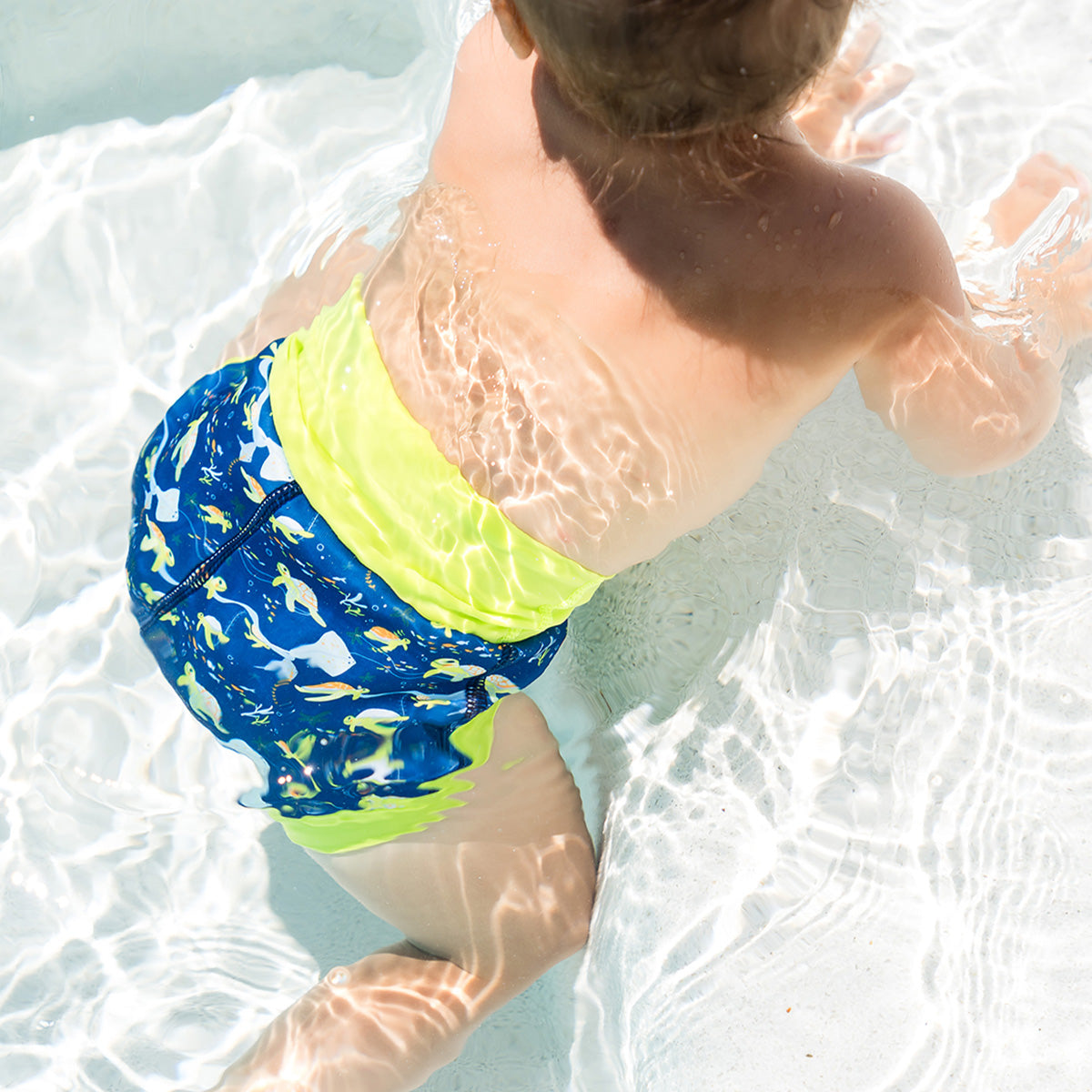 Happy Nappy™ Swim Diaper Turtle Tide