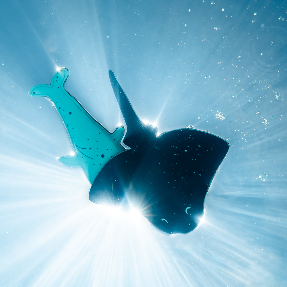 Whale & Ray Snippets