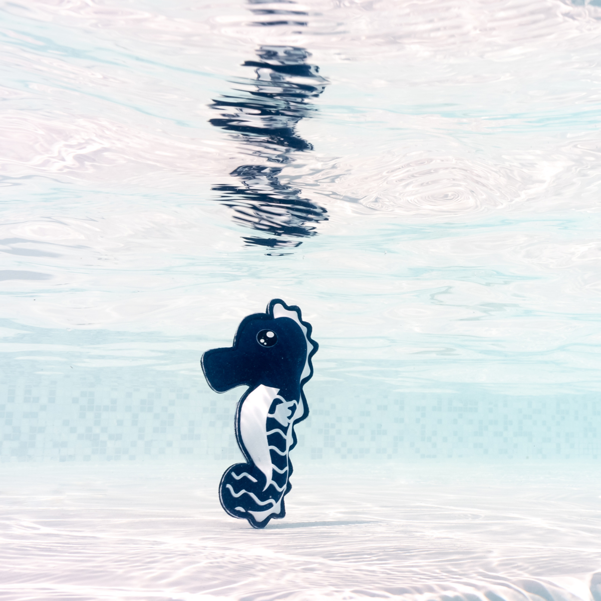 Seahorse & Sardine Snippets