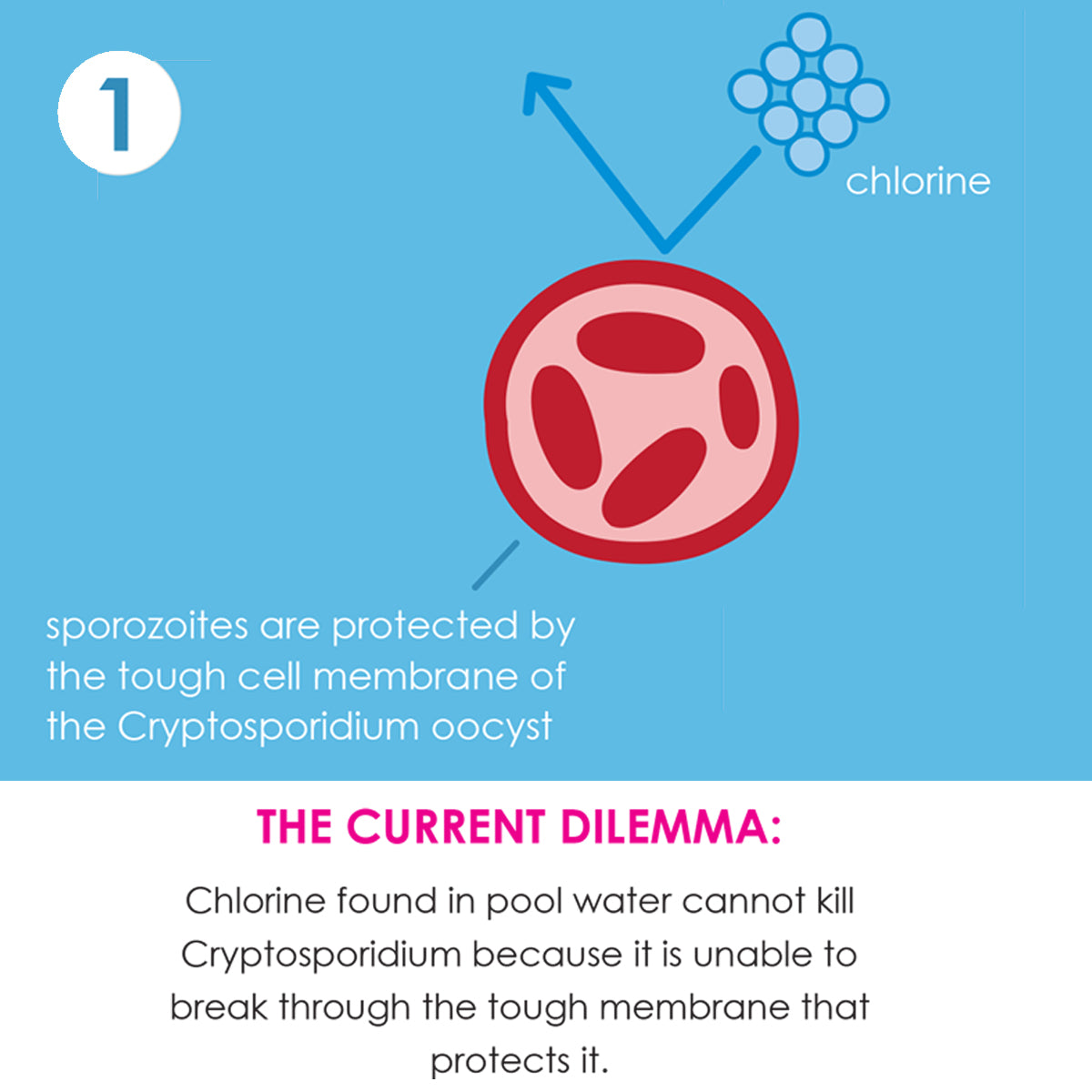 Happy Nappy Duo™ Swim Diaper Navy Yellow