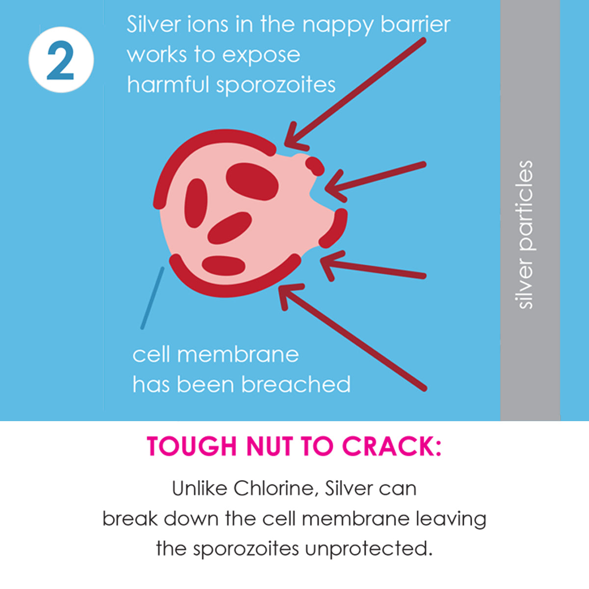 Happy Nappy Duo™ Swim Diaper Tug Boats