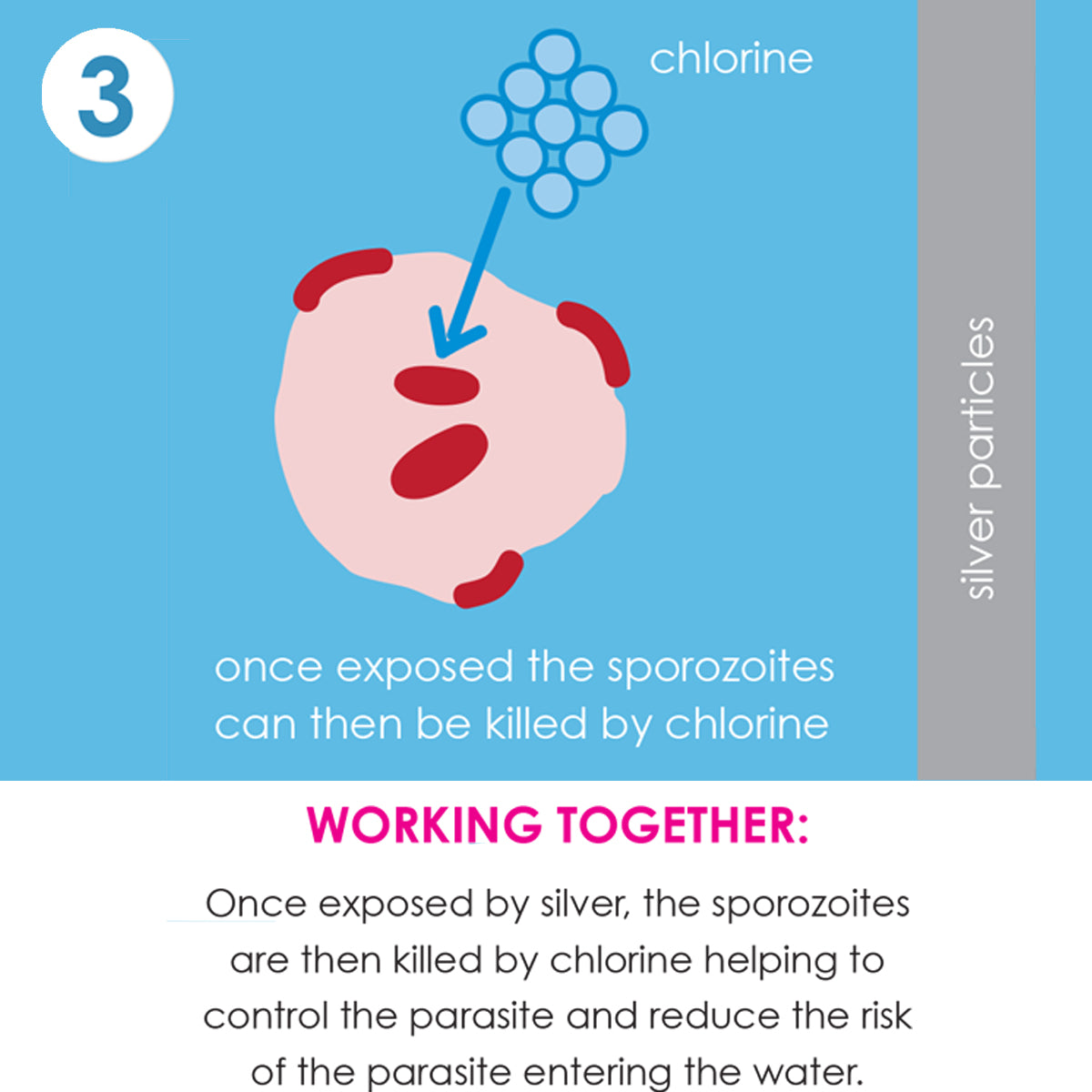 Happy Nappy Duo™ Swim Diaper Pistachio