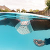 Happy Nappy™ Swim Diaper Little Acorns