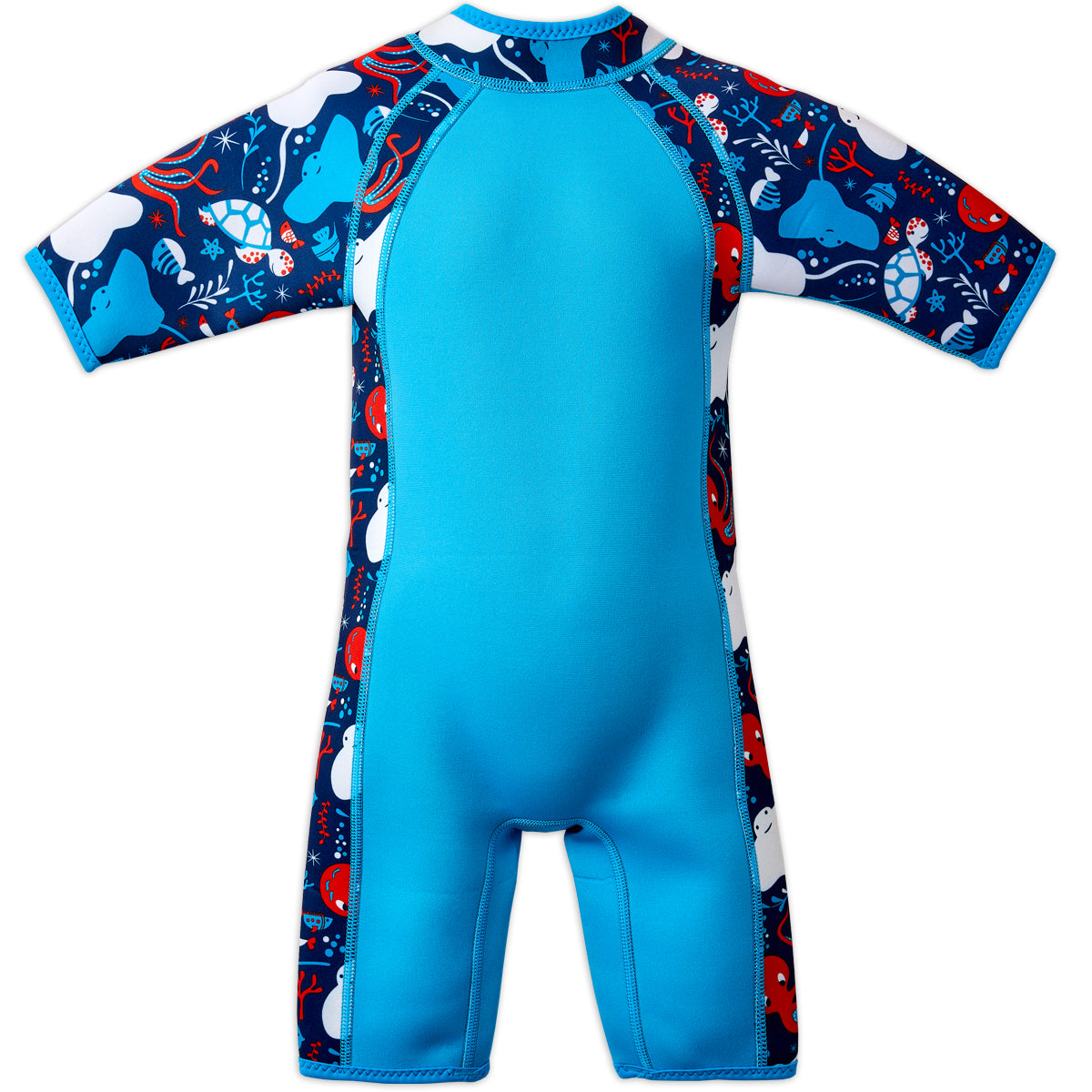 flat product image of the back of the under the sea shorty wetsuit